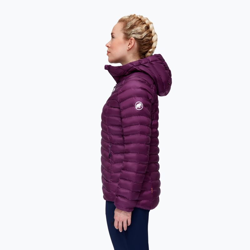 MAMMUT Albula IN jachetă de puf pentru femei 3