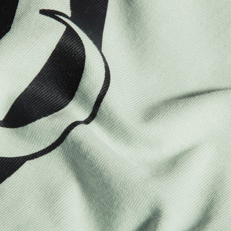 Tricou pentru bărbați Mammut Core Classic silver sage 5