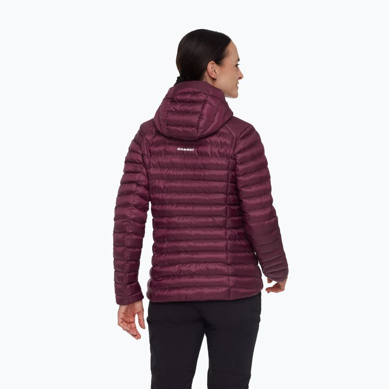 Geacă cu izolare pentru femei Mammut Albula IN Hooded vin/black 2
