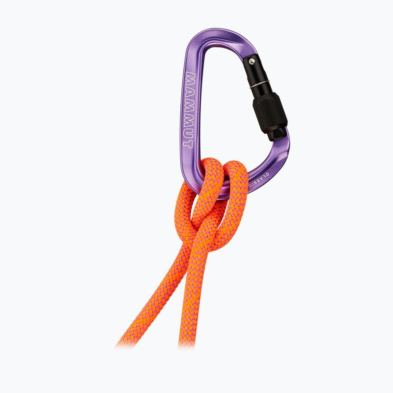 Carabinieră Mammut Classic HMS Screwgate screw gate/alpine calamint 2