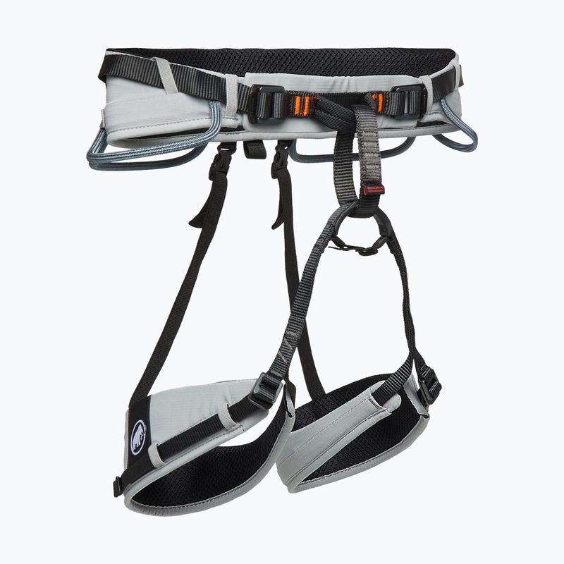 Ham de alpinism Mammut Ophir 4 Slide 2.0 alloy/stratum 2