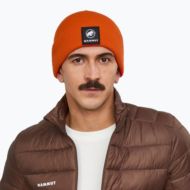 Căciulă de iarnă Mammut Fedoz Beanie autumn larice 3
