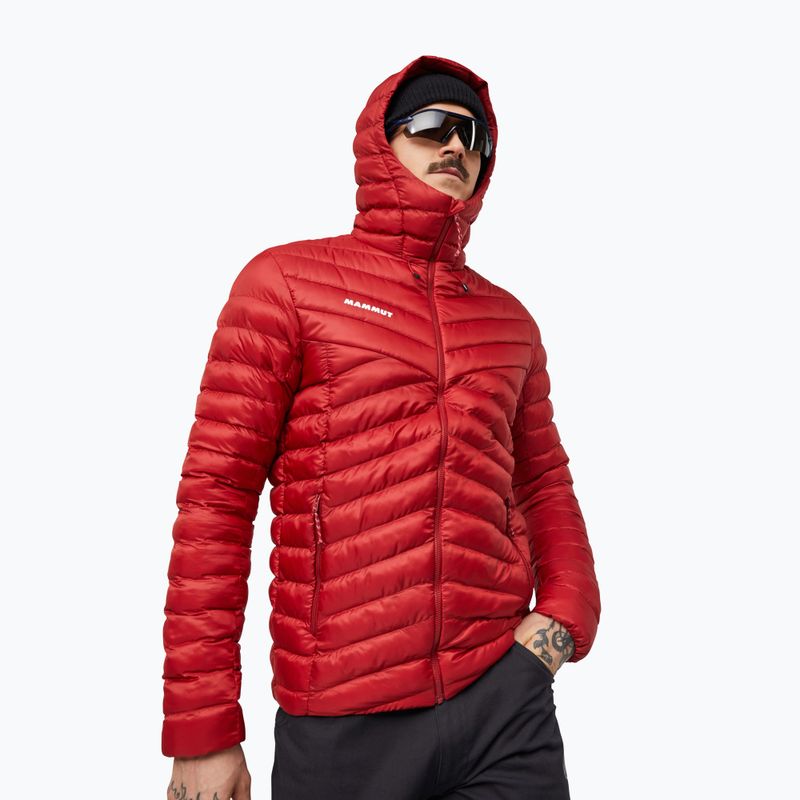 Geacă izolată pentru bărbați Mammut Albula IN Hooded Jacket Men dark mammut red 3