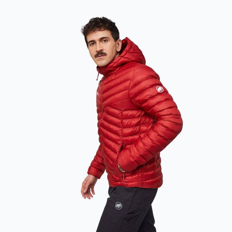 Geacă izolată pentru bărbați Mammut Albula IN Hooded Jacket Men dark mammut red 4