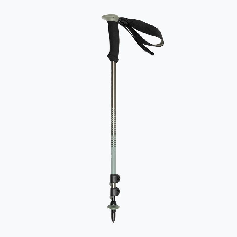Bețe de trekking Black Diamond Trail Back Trek gri BD1125483010 2