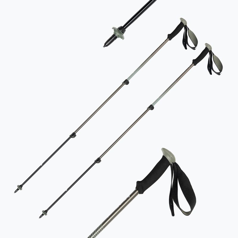 Bețe de trekking Black Diamond Trail Back Trek gri BD1125483010 6