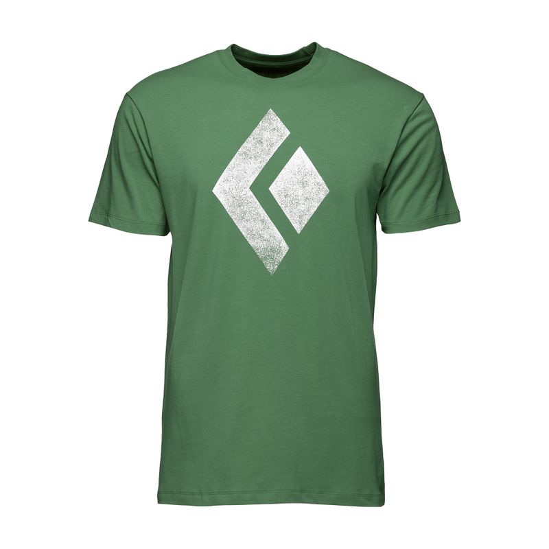Tricou de alpinism pentru bărbați Black Diamond Chalked Up verde APUO95303050LRG1 4