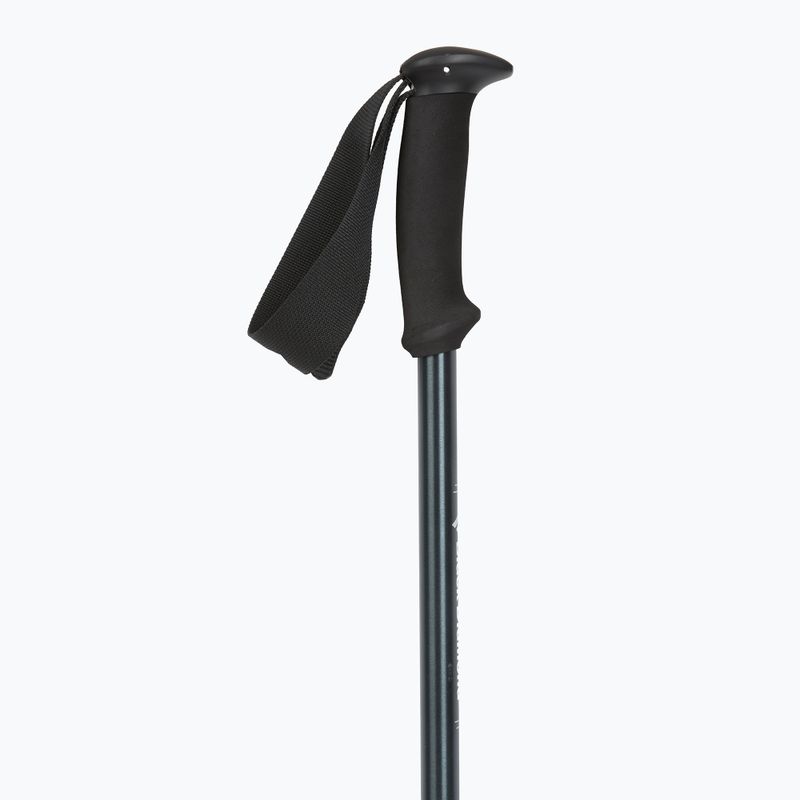 Bețe de trekking Black Diamond Explorer 2 Trekking ink blue 2