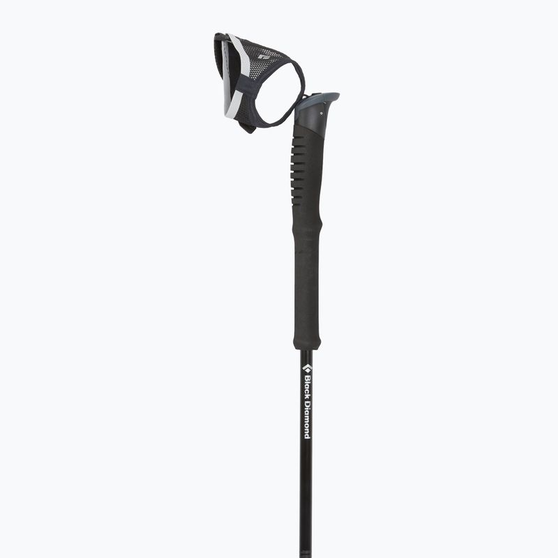 Bețe de trekking Black Diamond Distance Carbon FKT black 2