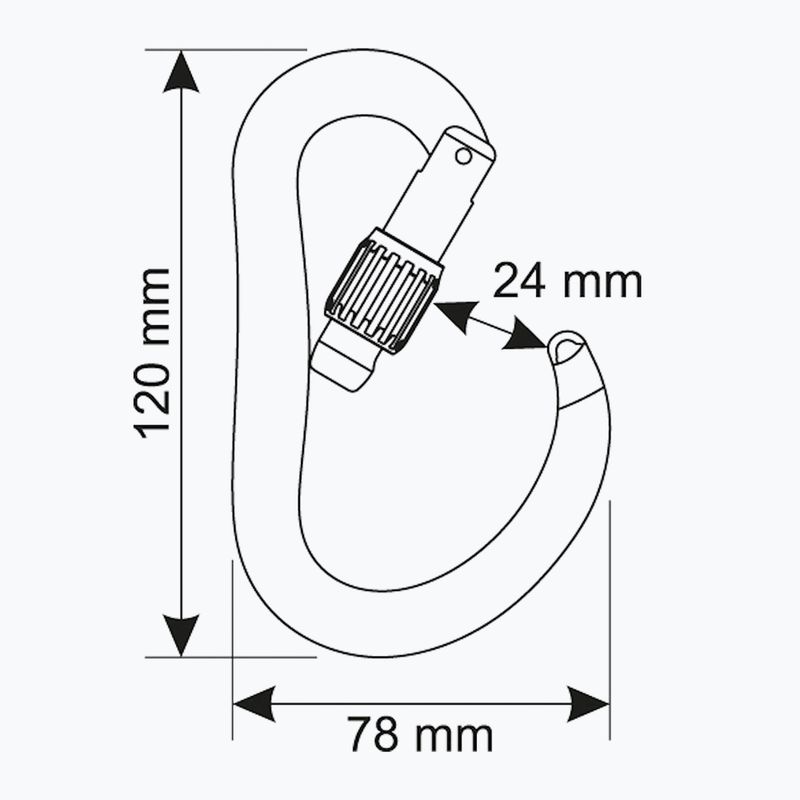 Carabinieră de escaladă CAMP Atom Lock black 3