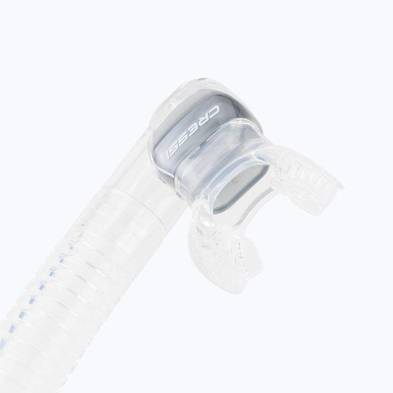 Cressi Dry snorkel argintiu/incolor ES259 3