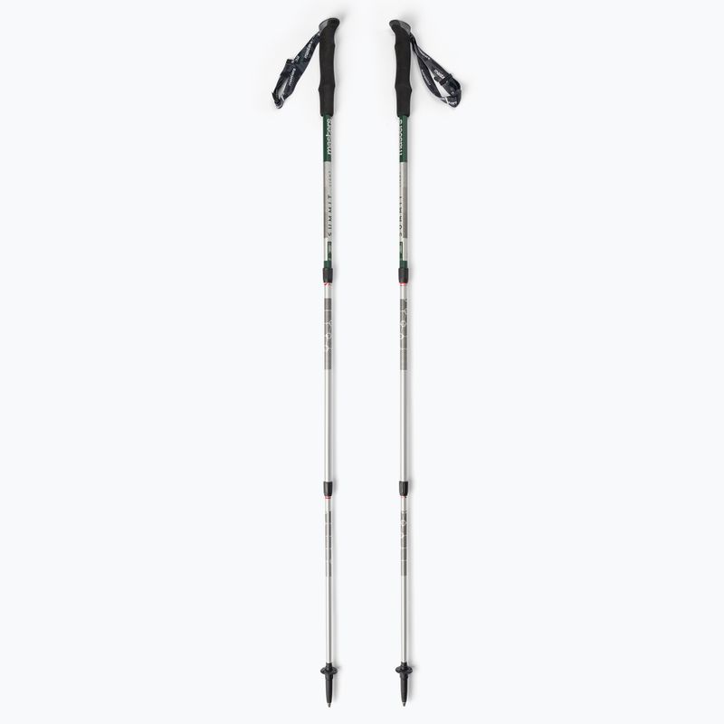 Bețe de trekking Masters Pole Summit Light, verde, 01S4519