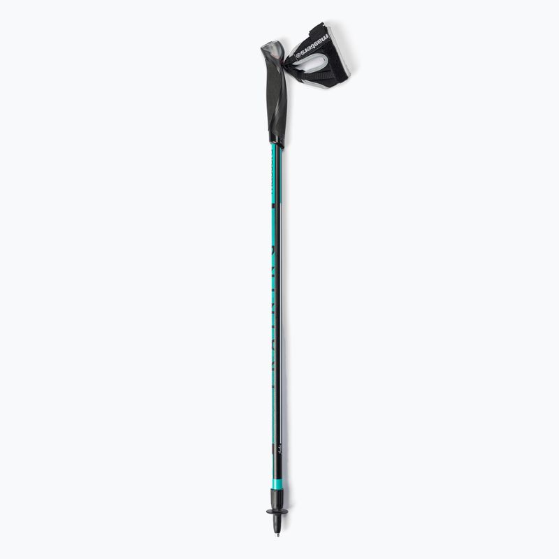 Bețe de mers Masters Pole Training Nordic, negru, 01N0620 6
