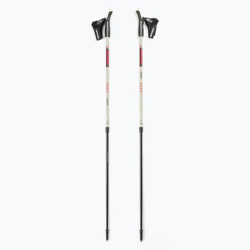 Bețe de mers GABEL Strech ICE Nordic, gri, 7008352630000