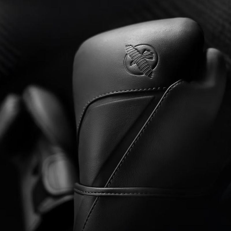 Mănuși de box Hayabusa E1 Leather black 3