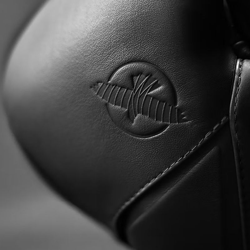 Mănuși de box Hayabusa E1 Leather black 4