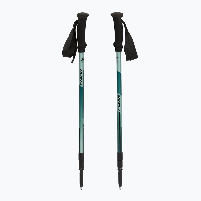 Bețe de trekking  Fizan Trek Pro dark green 5