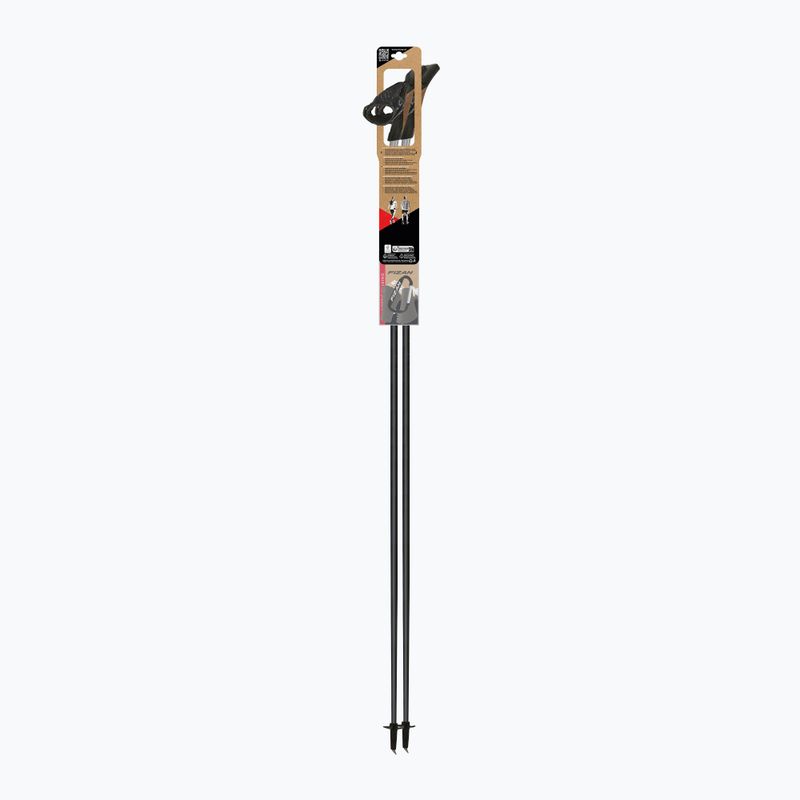 Bețe de nordic walking Fizan Tekno Impulse grey 4