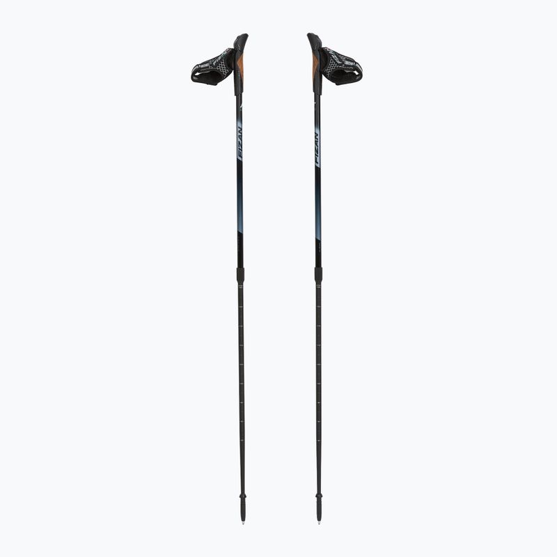 Bețe de nordic walking Fizan Speed black