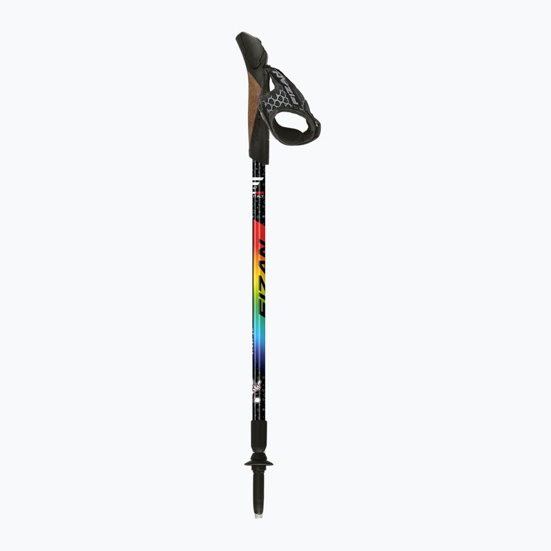 Bețe de nordic walking Fizan Speed Junior rainbow 2