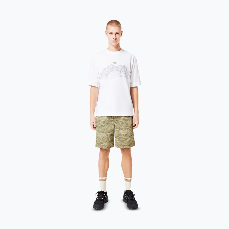 Tricou pentru bărbați Oakley Wired Mtn Scape Tee white