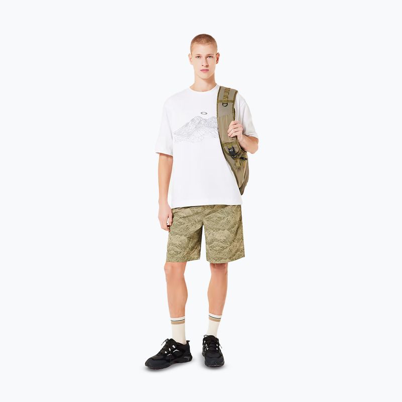 Tricou pentru bărbați Oakley Wired Mtn Scape Tee white 2