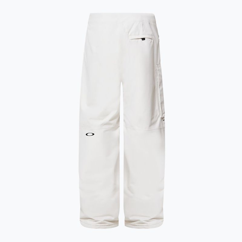 Pantaloni de snowboard pentru bărbați Oakley Channel Cargo mist 9