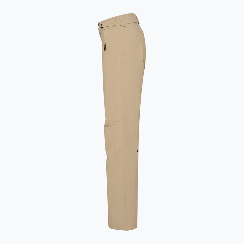 Pantaloni de schi pentru femei Oakley Canopy Insulated pebble 9