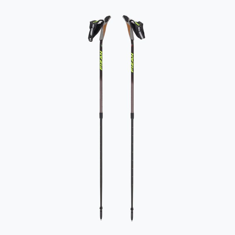 Fizan Speed Impulse, bețe de nordic walking gri S21 7540