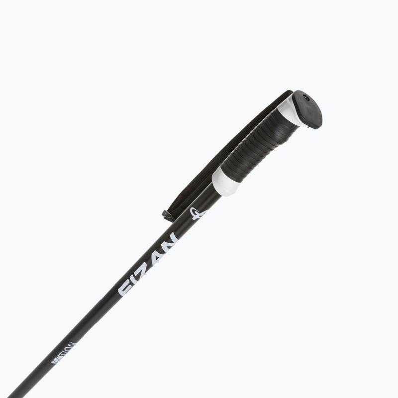 Bețe de schi Fizan Action Pro black 2