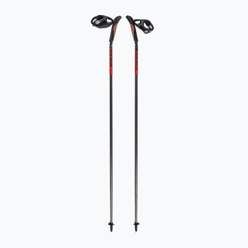 Bețe de nordic walking Fizan Carbon 3K Impulse red/grey