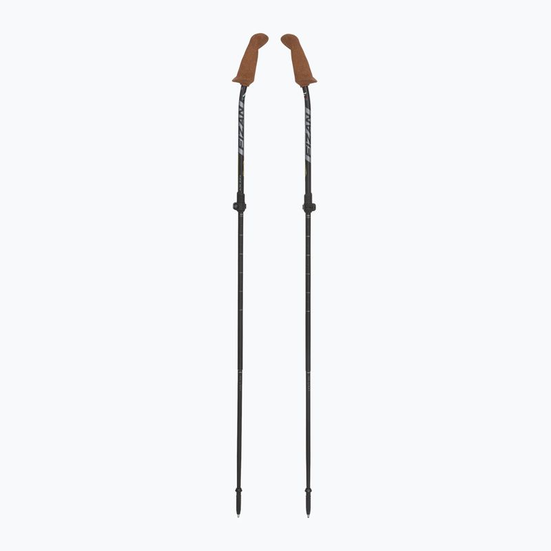 Bețe de nordic walking Fizan Walx Xplorer grey