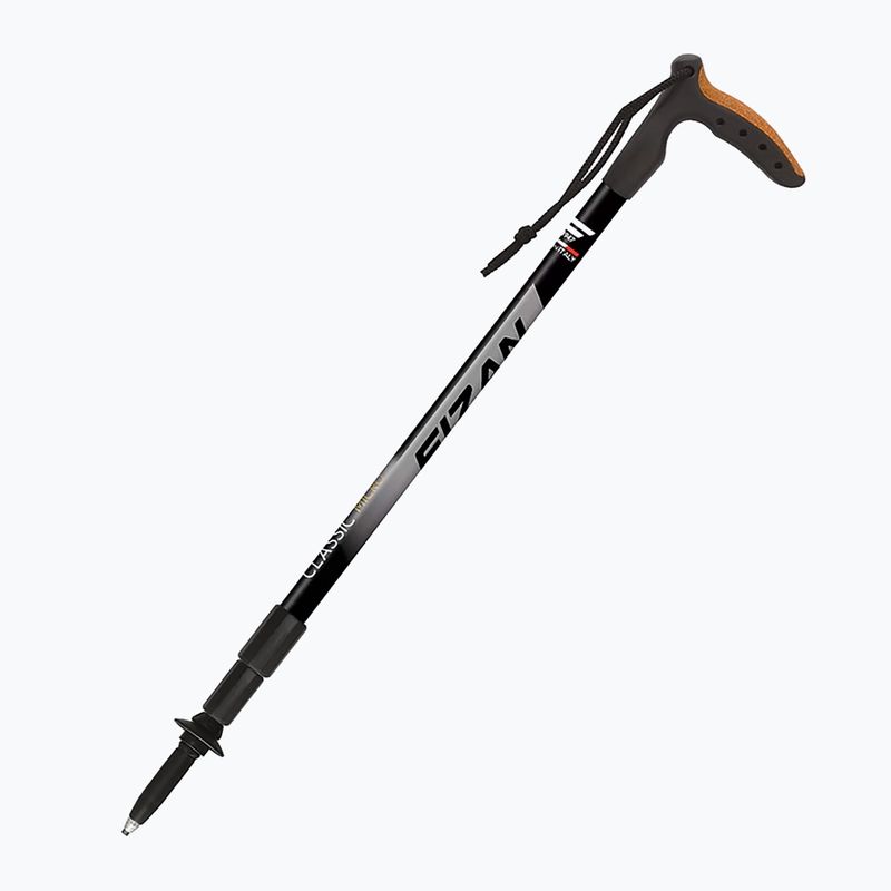 Bețe de nordic walking  Fizan Classic Micro grey