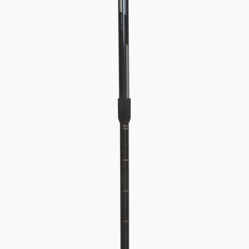 Bețe de nordic walking Fizan Speed black 4