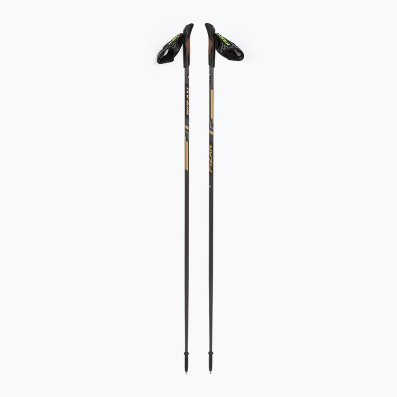 Bețe de nordic walking Fizan Runner 100063 gold