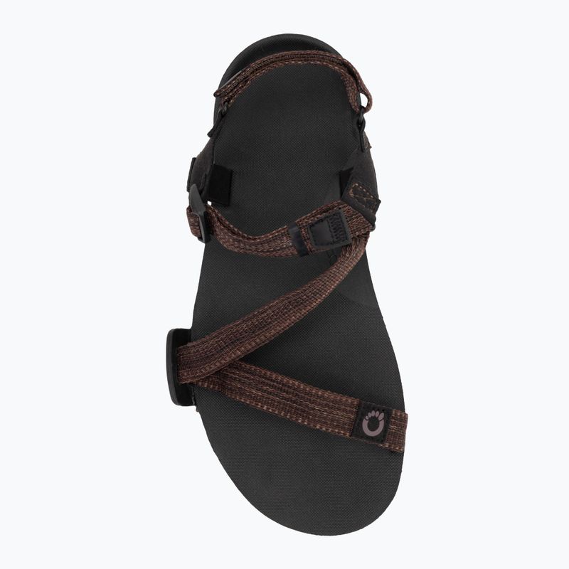 Sandale barefoot pentru bărbați Xero Shoes Z-Trail EV multi / brown 5