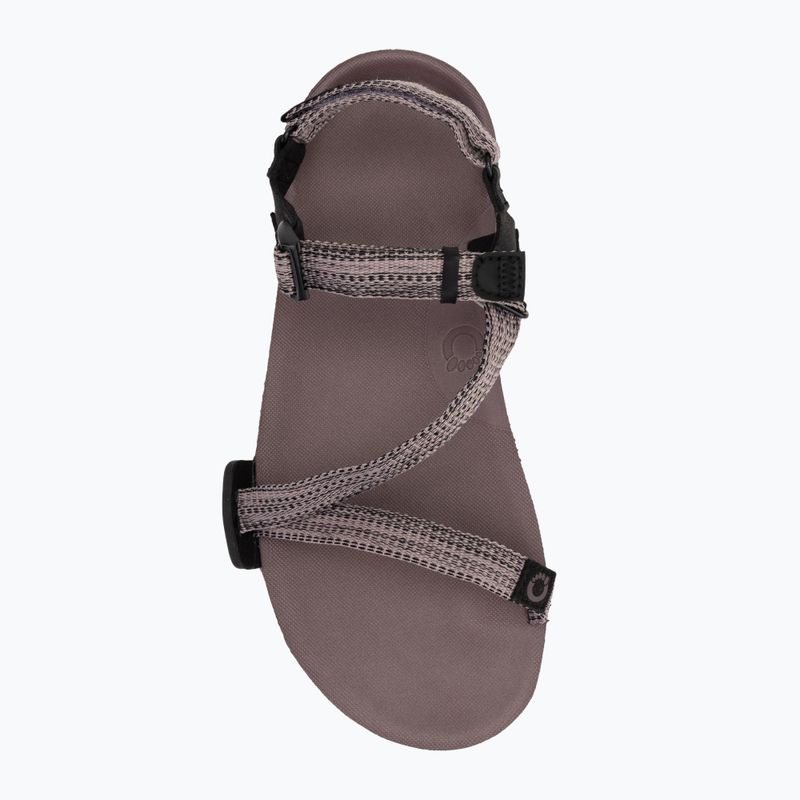 Sandale barefoot pentru femei  Xero Shoes Z-Trail EV dusty / rose 4