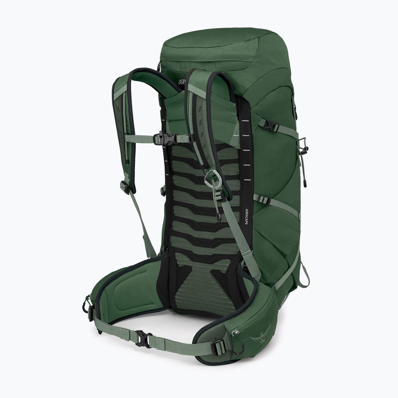 Rucsac turistic pentru bărbați Osprey Talon 33 l green canopy/ pine leaf 2