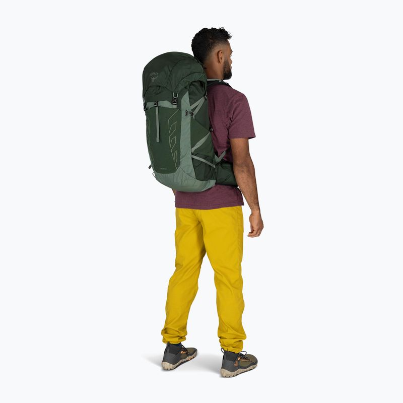 Rucsac turistic pentru bărbați Osprey Talon 33 l green canopy/ pine leaf 5