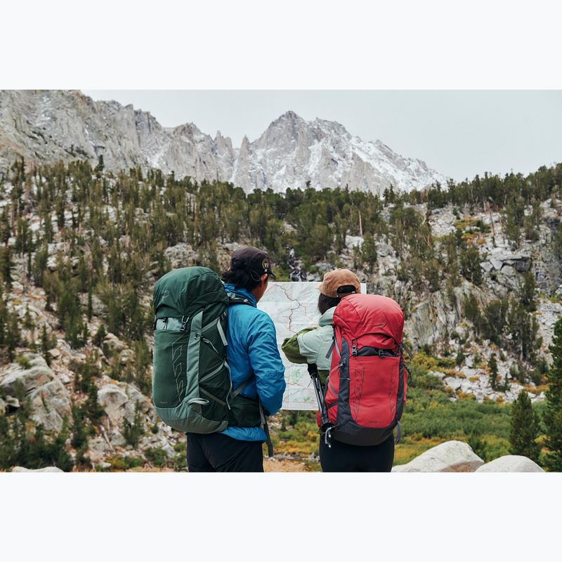 Rucsac turistic pentru bărbați Osprey Talon 33 l green canopy/ pine leaf 17