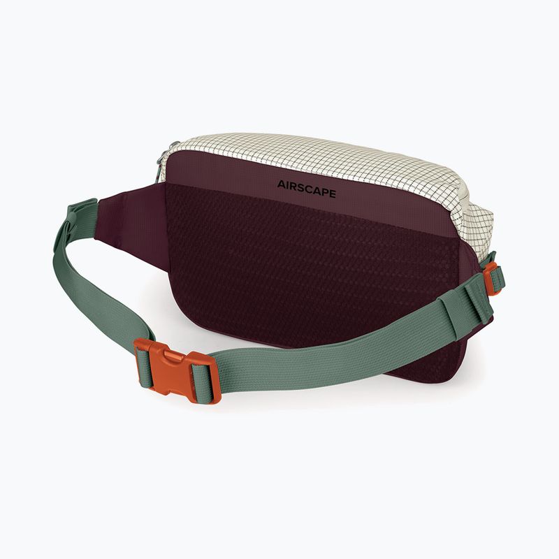 Borsetă Osprey Transporter Waist Pack 3 l mystery white/moody burgundy 3