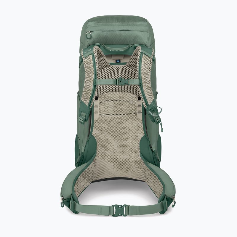Rucsac turistic pentru bărbați Osprey Stratos 44 l pine leaf 3