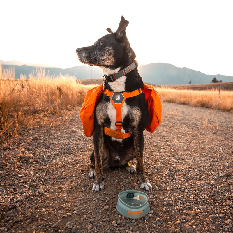 Bol pentru câine HydraPak Rover sutro green 4