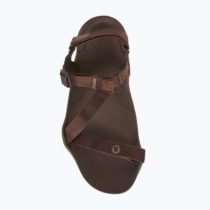 Sandale barefoot pentru bărbați Xero Shoes Z-Trek brown 7
