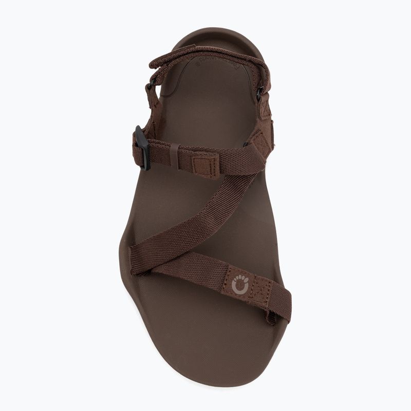 Sandale barefoot pentru bărbați Xero Shoes Z-Trek brown 5