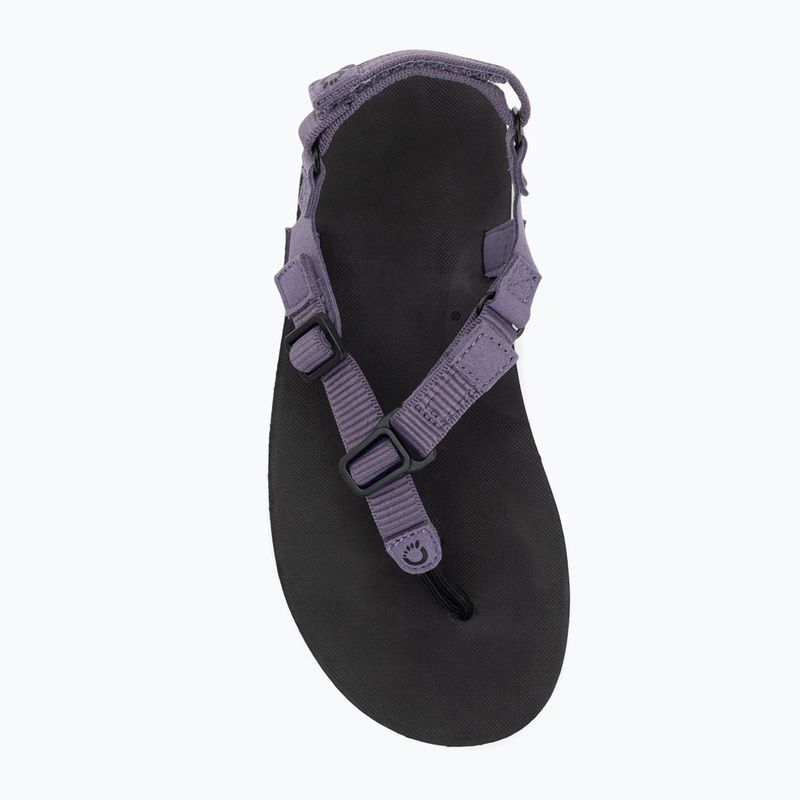 Sandale barefoot pentru femei Xero Shoes H-Trail sage purple 5