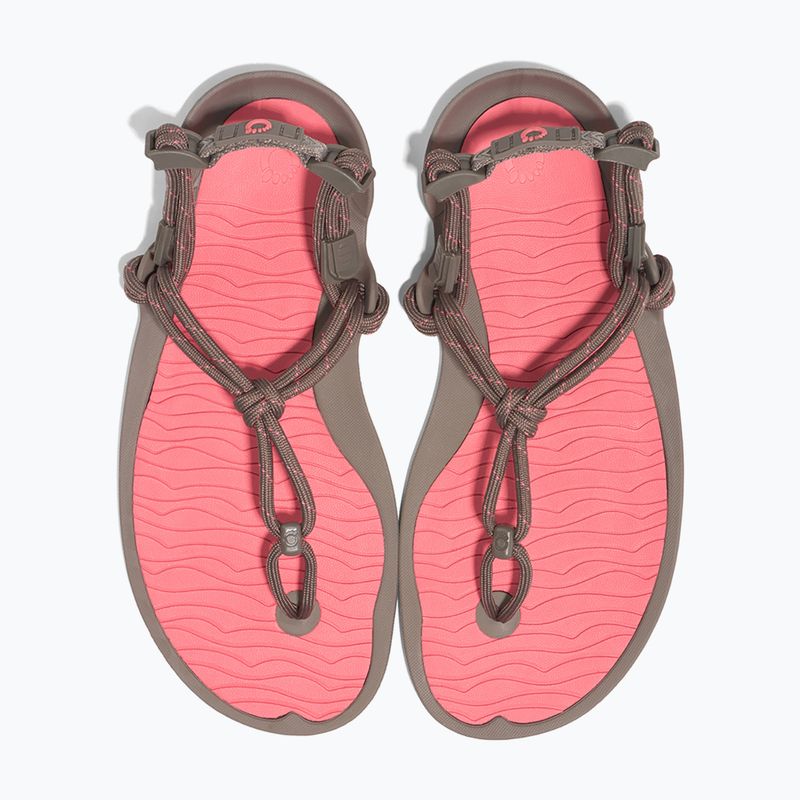 Sandale barefoot pentru femei Xero Shoes Aqua Cloud moel/sunset coral morel/sunset coral 8