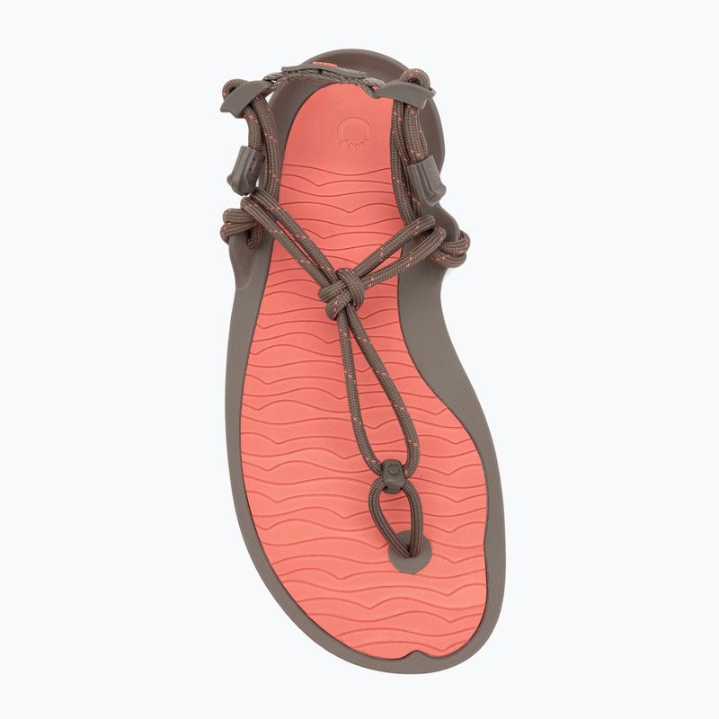 Sandale barefoot pentru femei Xero Shoes Aqua Cloud moel/sunset coral morel/sunset coral 5