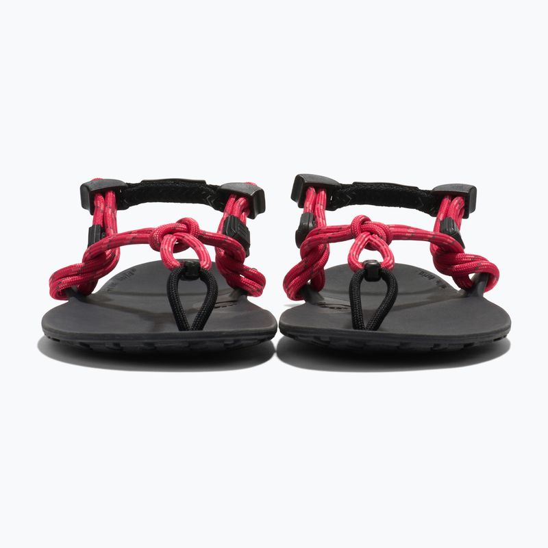 Sandale barefoot pentru femei Xero Shoes Genesis raspberry 3