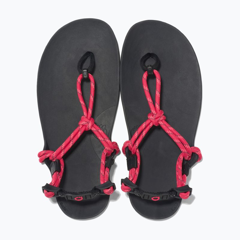 Sandale barefoot pentru femei Xero Shoes Genesis raspberry 5
